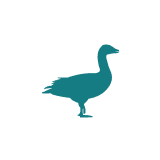 Poultry Pool