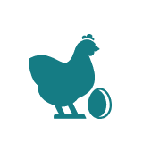 Egg Pool
